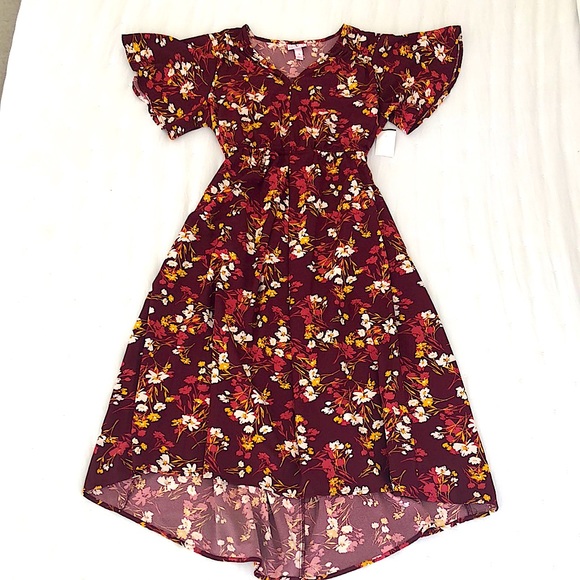 NWOT Isabel floral maternity dress - Picture 4 of 9